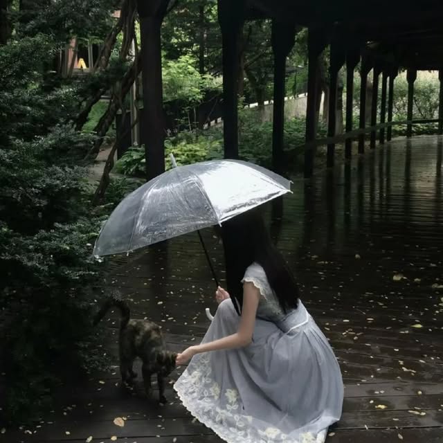 Stylish Transparent Umbrella