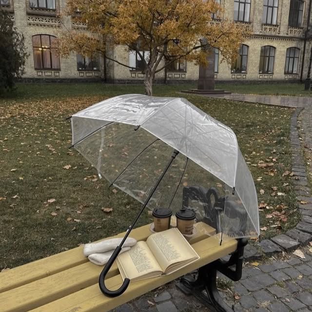 Stylish Transparent Umbrella