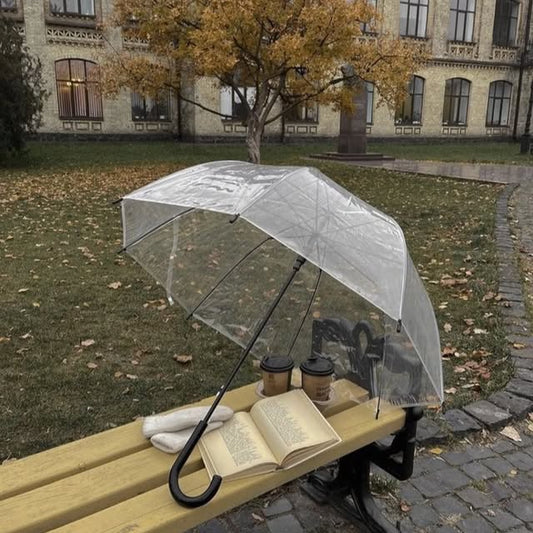 Stylish Transparent Umbrella
