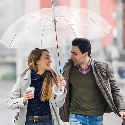 Stylish Transparent Umbrella